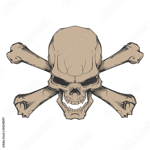 Skull and bones