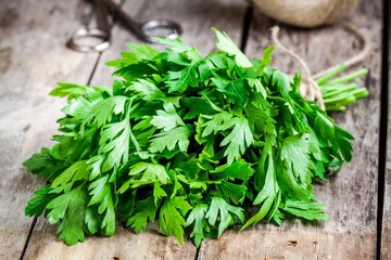 organic fresh bunch of parsley closeup