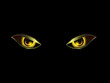 © am54 - evil eye on black vector background illustration