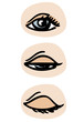 Three phases of a blinking eye