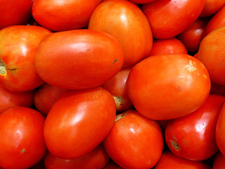 Wall Mural - Red Tomato