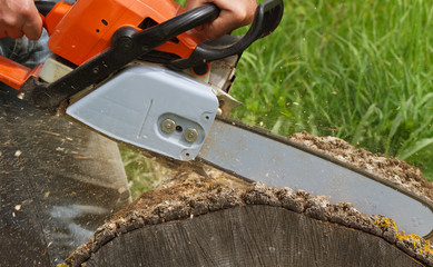 Sticker - Man cuts a tree.