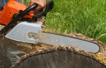 Sticker - Man cuts a tree.