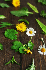 Canvas Print - Various medicinal plants on wooden background