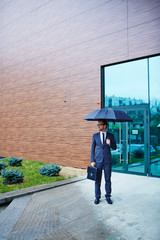 Canvas Print - Businessman under umbrella