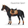 Horse with equestrian sport equipment 
