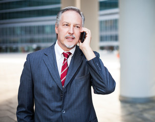 Canvas Print - Businessman using a cell phone