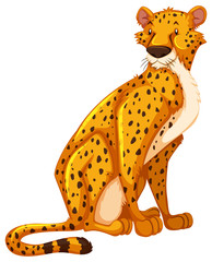 Sticker - Cheetah