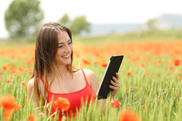 Canvas Print - Woman reading ebook in a red field