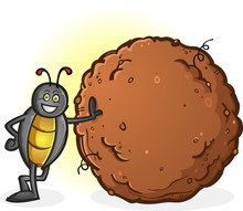Dung Beetle With A Big Ball Of Poop