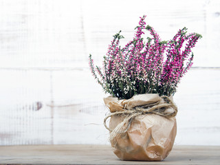 bouquet of heather on white wooden background