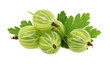Pile of ripe green gooseberries with leaves (isolated)