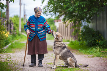 Wall Mural - Elderly woman with a dog in countryside 