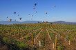 Balloon and Wine Festival in Temecula, California