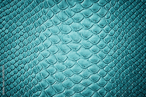 Fotografia, Obraz  Crocodile turquoise skin  texture