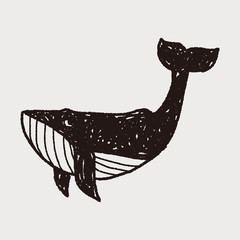 Canvas Print - whale doodle