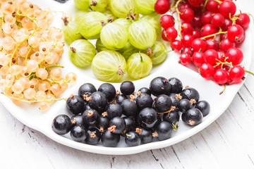 Canvas Print - Currants and gooseberry