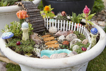 Fairy Garden In A Flower Pot Outdoors