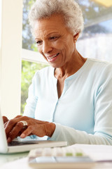 Wall Mural - Senior Woman Using Laptop At Home