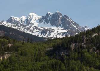 Wall Mural - Skagway's Mountains and Forests