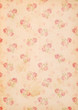 stained vintage paper background with roses