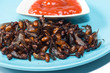 fried  subterranean ants with chili sauce isolate on white