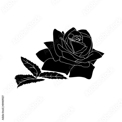 Naklejka ścienna silhouette of rose