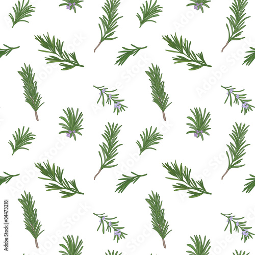 Rosemary seamless pattern Poster Mural XXL