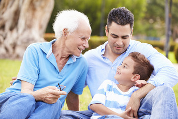 Wall Mural - Grandfather With Grandson And Father In Park