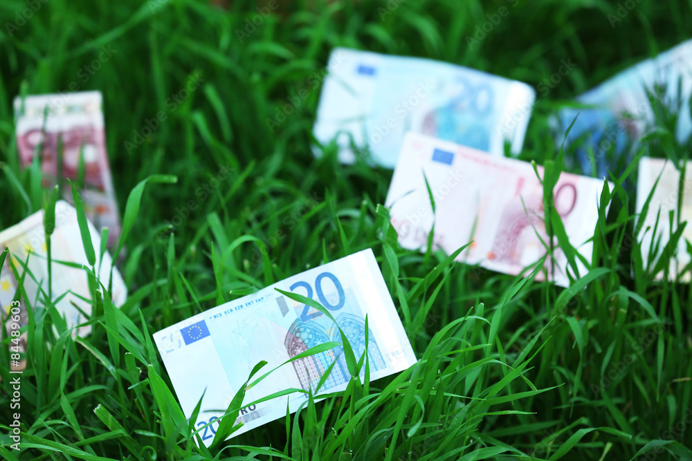 Banknotes money over green grass background