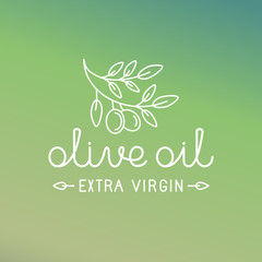 Vector olive oil logo