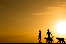 Silhouette People Walking With The Dog At Sunset