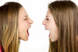 © fabianaponzi - Two angry blond girls screaming at each other isolated