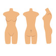 © Anna Rassadnikova - Woman mannequin torso flat style