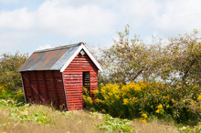 Old Crooked Red Shed In A Field