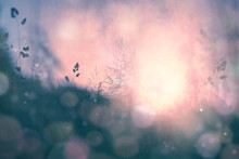 Fantasy Sunset Bokeh Blurred Meadow Background