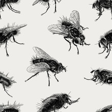 Pattern Of The Big Flies