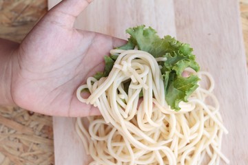 Pasta spaghetti in the hand