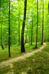  nature