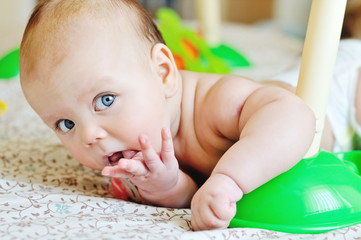 Wall Mural - baby with finger in mouth