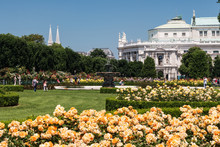 Volksgarten Wien In Der Rosenblüte