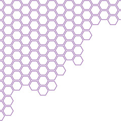 Hexagons background purple vector