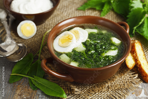 Fototapeta do kuchni Soup of sorrel and nettles with eggs