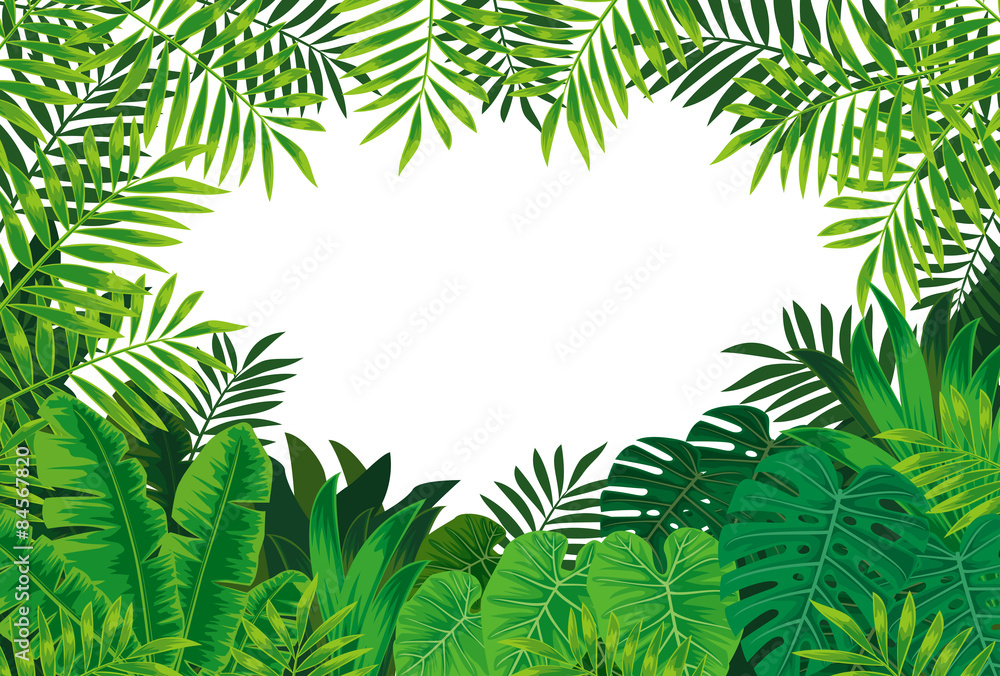 Tropische Blätter Zum Ausmalen Tropische Blätter Zum Ausmalen