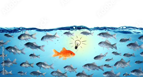 Fotomural against the stream - opposite concept - leader goldfish