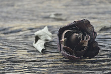 Dried Rose On Wooden Background, Broken Heart Concept