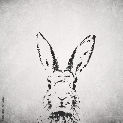 Obraz na płótnie canvas czteroczęściowy "tetraptyk" Sylwetka królika backround