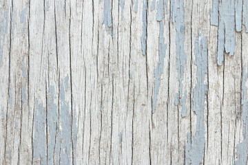 Grunge white wood, can be used for background.