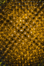 Background Wall Of Bottoms Of Empty Orange Glass Bottles.