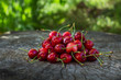 Group sweet cherries on a wooden surface